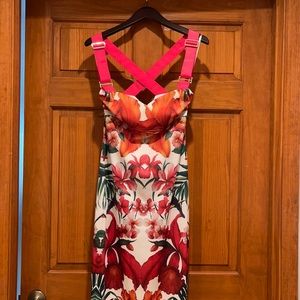 Ted Baker Dress